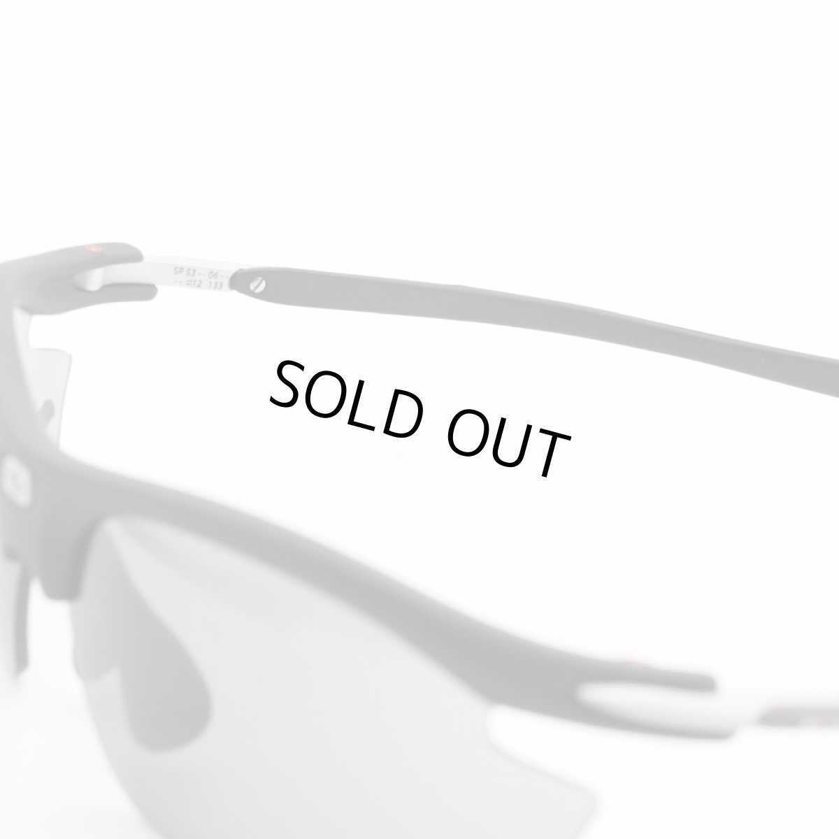 画像6: RUDY PROJECT ルディプロジェエクト RYDON ライドン BLACK MAT/SMOKE (6)