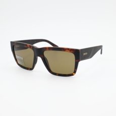 画像2: SMITH スミス Lineup ラインナップ Matte Tort/CP Polarized Brown (2)