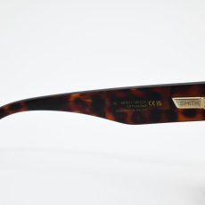 画像6: SMITH スミス Lineup ラインナップ Matte Tort/CP Polarized Brown (6)