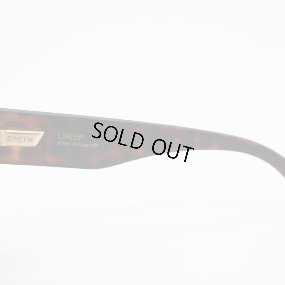 画像7: SMITH スミス Lineup ラインナップ Matte Tort/CP Polarized Brown (7)