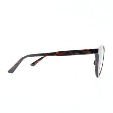 画像4: SMITH スミス Westward Tortoise/CP Polarized Brown (4)