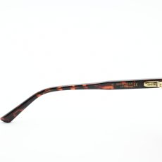画像6: SMITH スミス Westward Tortoise/CP Polarized Brown (6)
