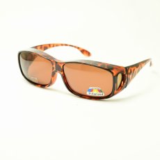 トートイズ/ブラウン