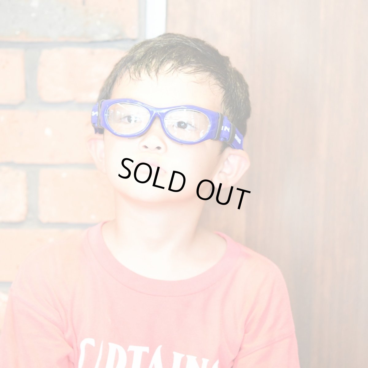 画像9: SWANS スワンズ EYE GUARD アイガード SVS600N NAVY (9)