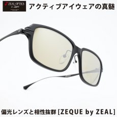 画像1: Zeque ゼクー F-2200 JAKE ジェイク MATTE BLACK / BLACK/TRUEVIEW SPORTS / SILVER MIRROR (1)