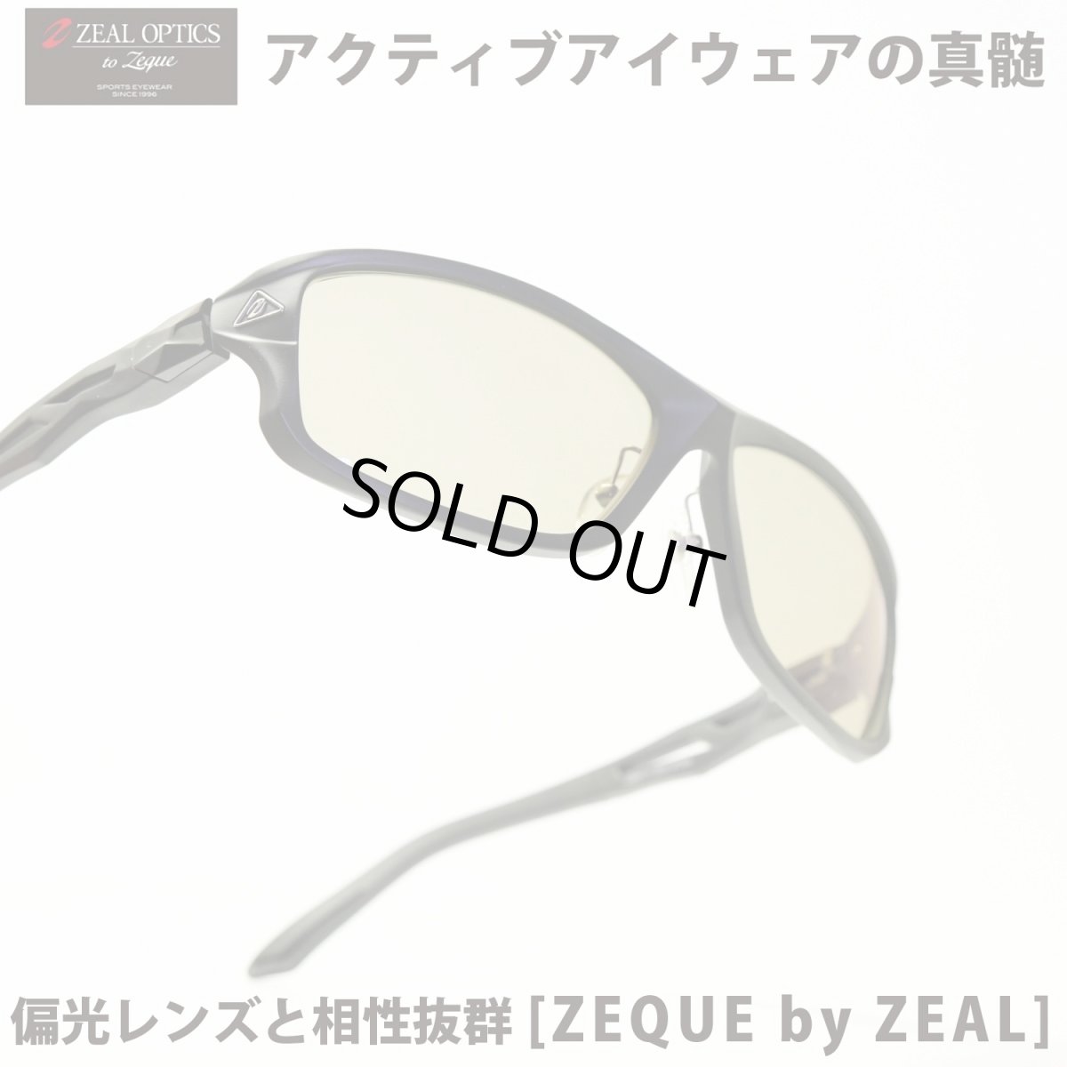 画像1: Zeque by ZEAL OPTICS ゼクーバイシールオプティックス STELTH ステルス MATTE BLACK/TRUEVIEW SPORTS (1)