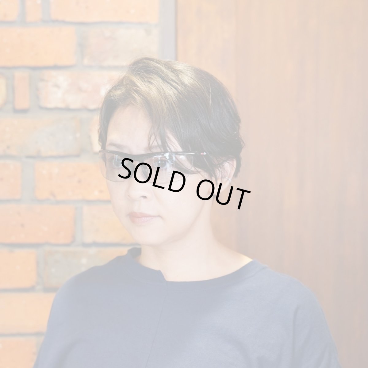 画像9: rh+ アールエイチプラス STYLUS JAPAN スティルスジャパン RH851S62 NXTソフト 可視光線調光 (9)