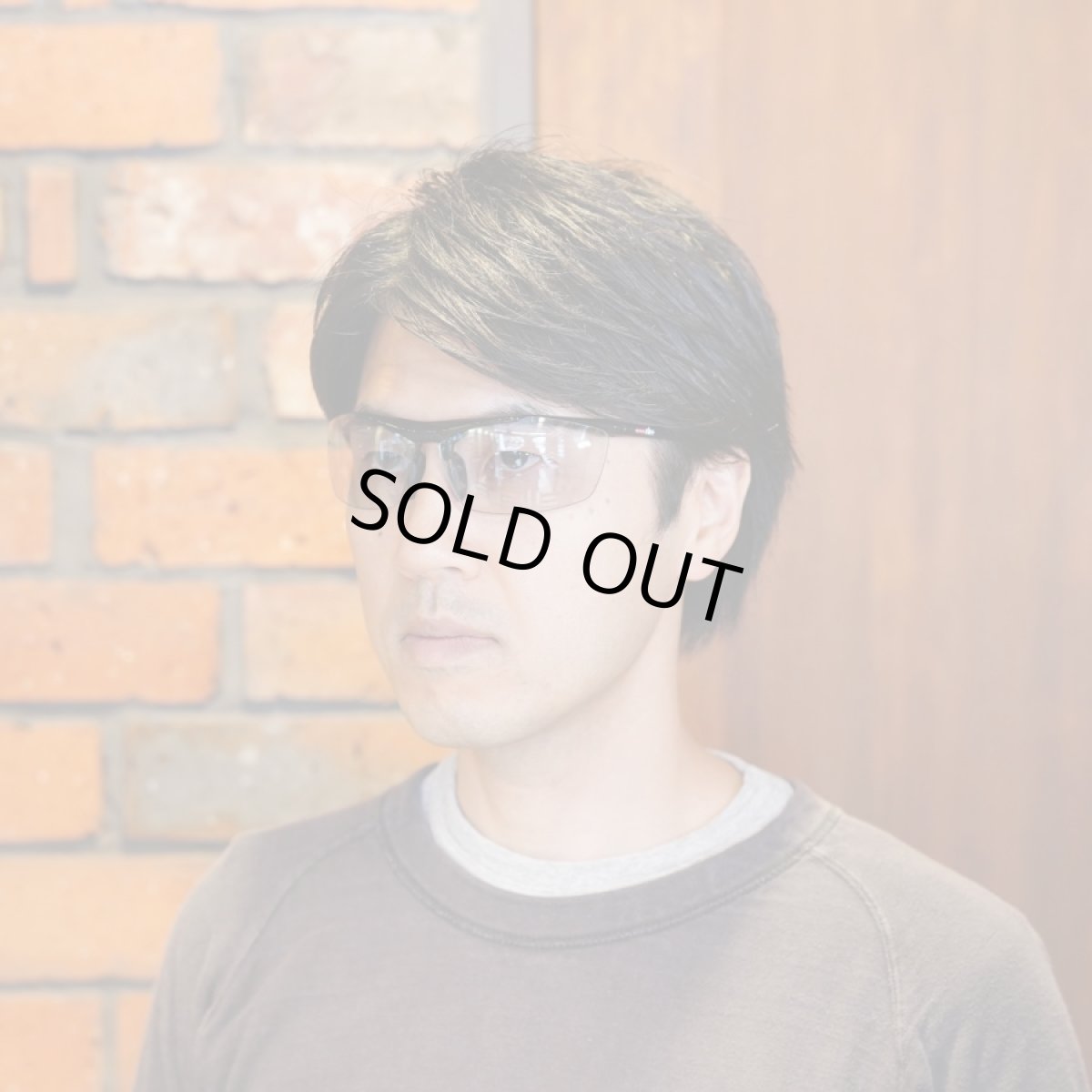 画像10: rh+ アールエイチプラス STYLUS JAPAN スティルスジャパン RH851S62 NXTソフト 可視光線調光 (10)